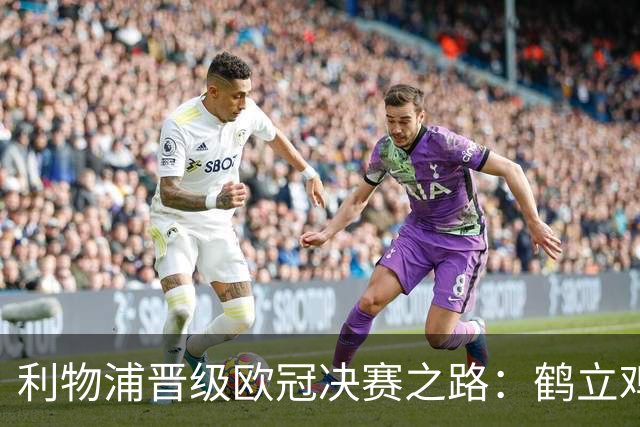 利物浦晋级欧冠决赛之路：鹤立鸡群 只输1场比赛